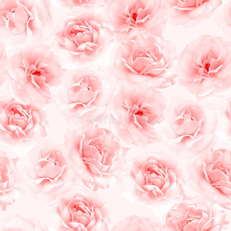 Plenty Pink natural roses seamless background. Nostalgic roses endless pattern. Plenty Pink natural roses seamless background. Nostalgic roses endless pattern.