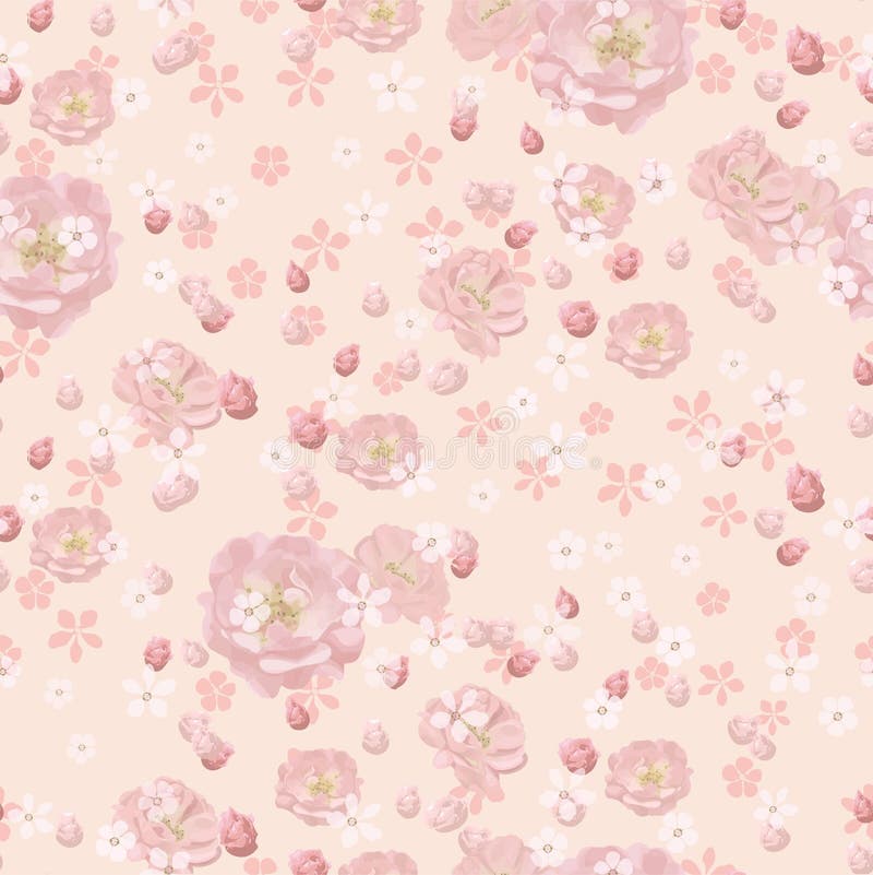 Pink roses and small white flowers on coral background. royalty free illustration Pink roses and small white flowers on coral background. royalty free illustration