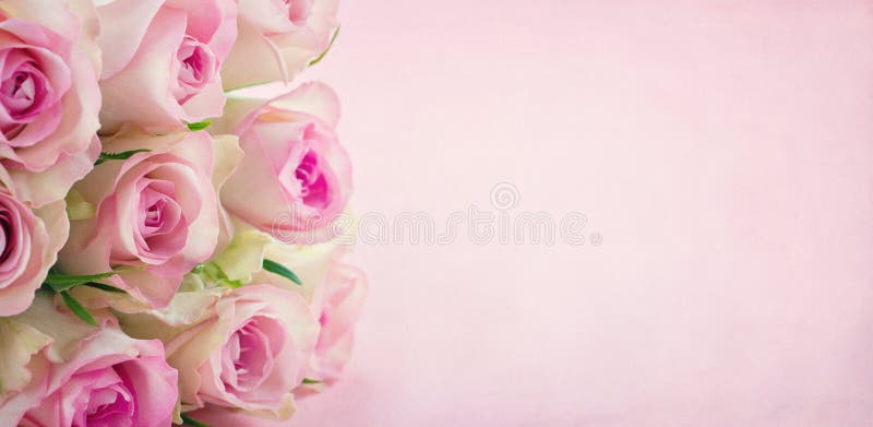 Roses Bokeh Backgroud for Mothers Day Stock Image - Image of ...