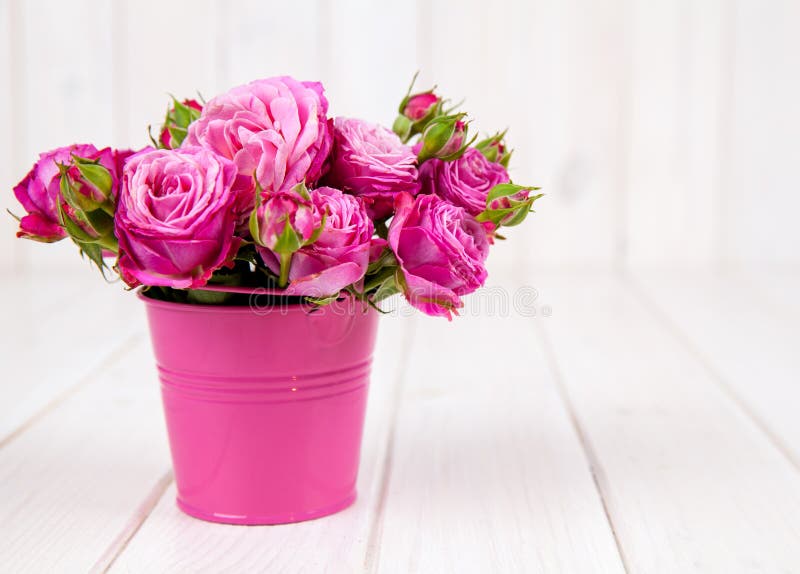 Pink rosespeony in vase on white wooden background. flowers stock photos Pink rosespeony in vase on white wooden background. flowers stock photos