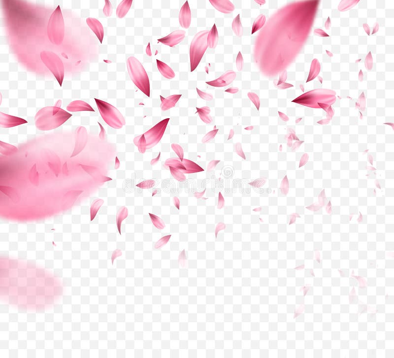 Roses Petals Stock Illustrations – 19,330 Roses Petals Stock Illustrations,  Vectors & Clipart - Dreamstime