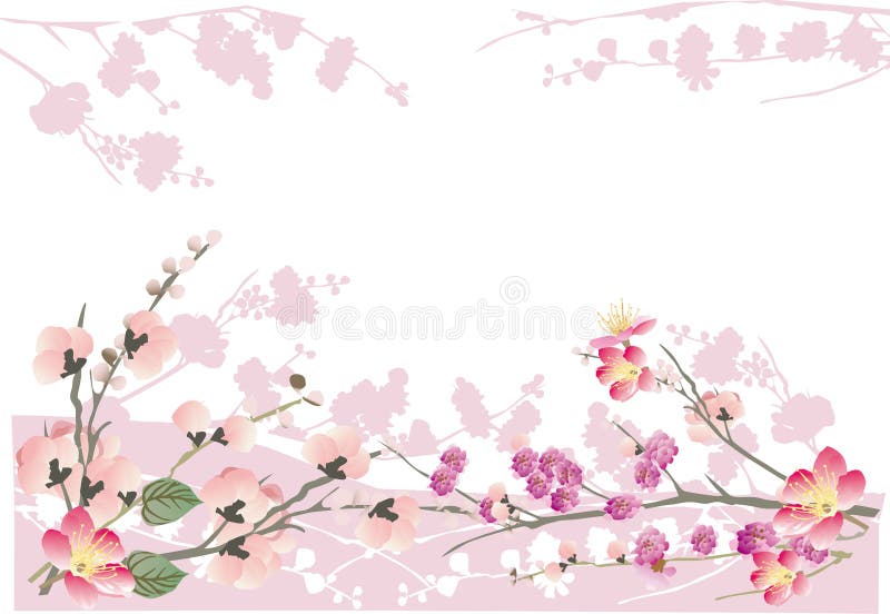 Pink sakura frame on white