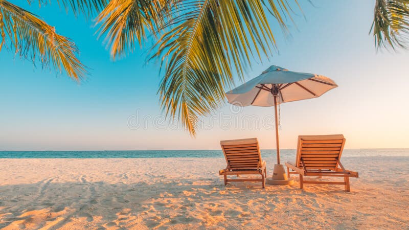 pink scallop seashell härlig liggande för strand tropisk naturplats Palmträd och blåttsky Sommarferie och semesterbegrepp