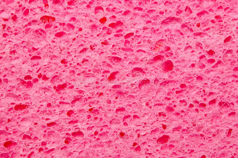 Pink sponge stock image. Image of shine, wash, tidy, bathroom 6970331