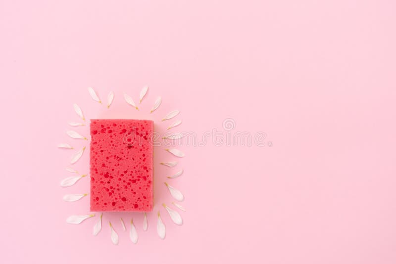 Pink Sponge With Flower Design Elements Lying Over Pastel Backgrounds