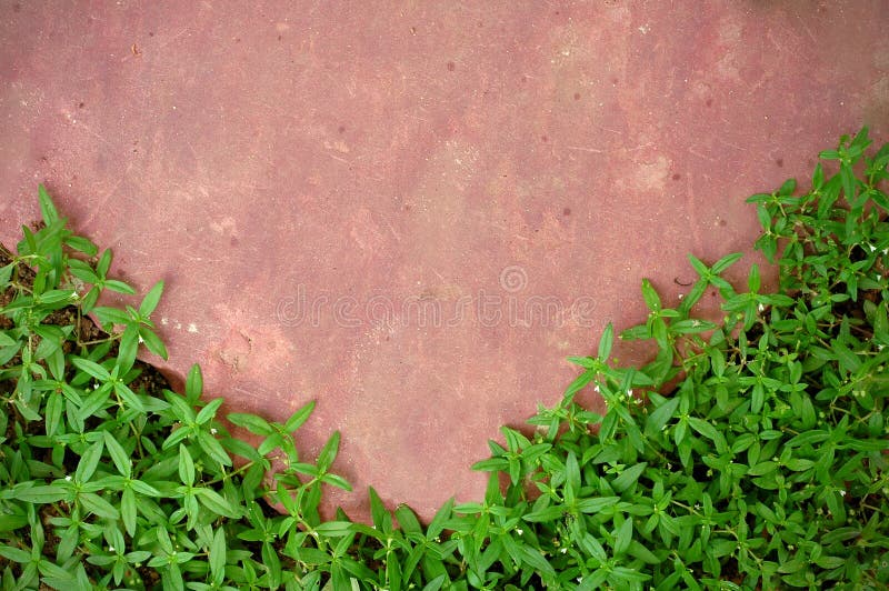 Pink stone and green grass