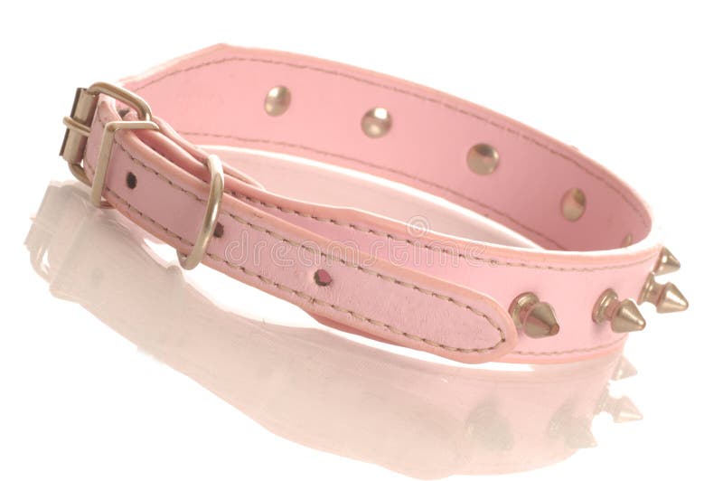 Pink studded dog collar stock image. Image of buckle, harness 6861759