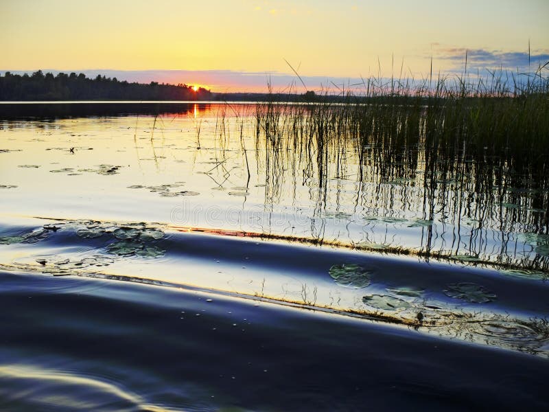 Pink sunset lake royalty free stock image Pink sunset lake royalty free stock image
