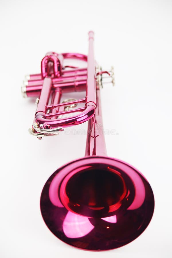 Pink Trumpet in the Box on White Background Stock Photo Image of pink