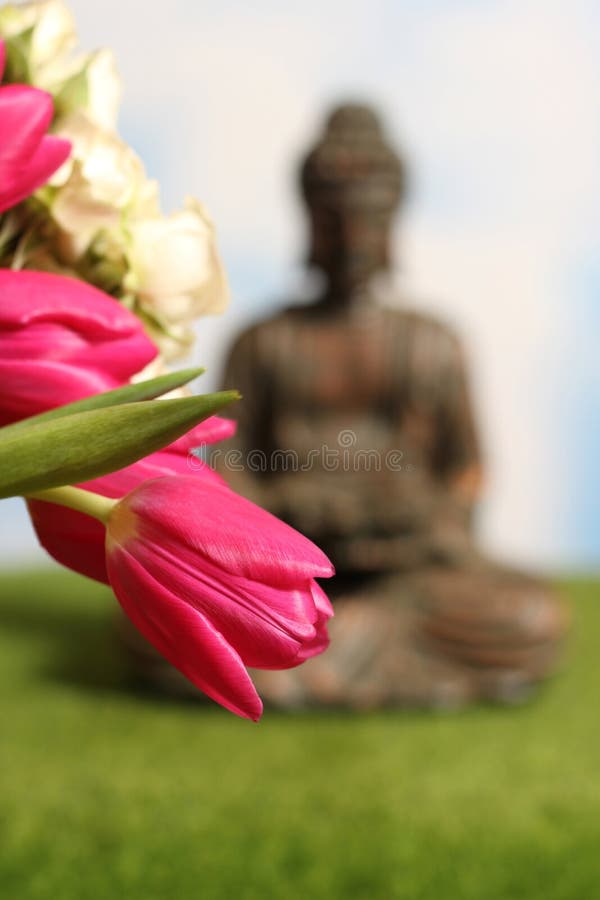 Pink Tulips in Bloom With Buddha Statue in Background royalty free stock photo