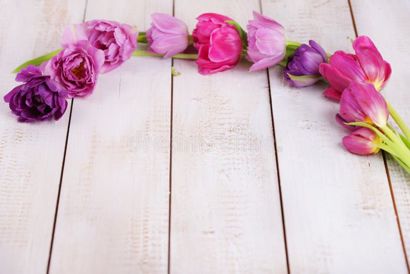 Pink tulips in a row. On wooden board royalty free stock photography Pink tulips in a row. On wooden board royalty free stock photography