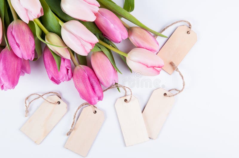 Pink tulips and tags stock photo Pink tulips and tags stock photo