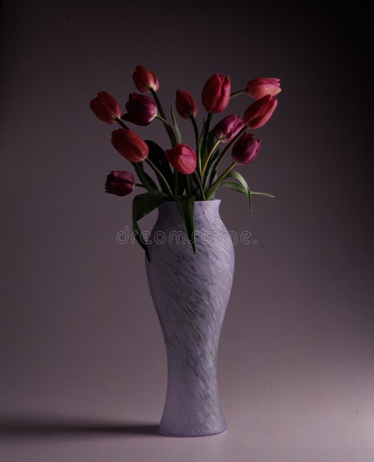 Pink tulips in a vase