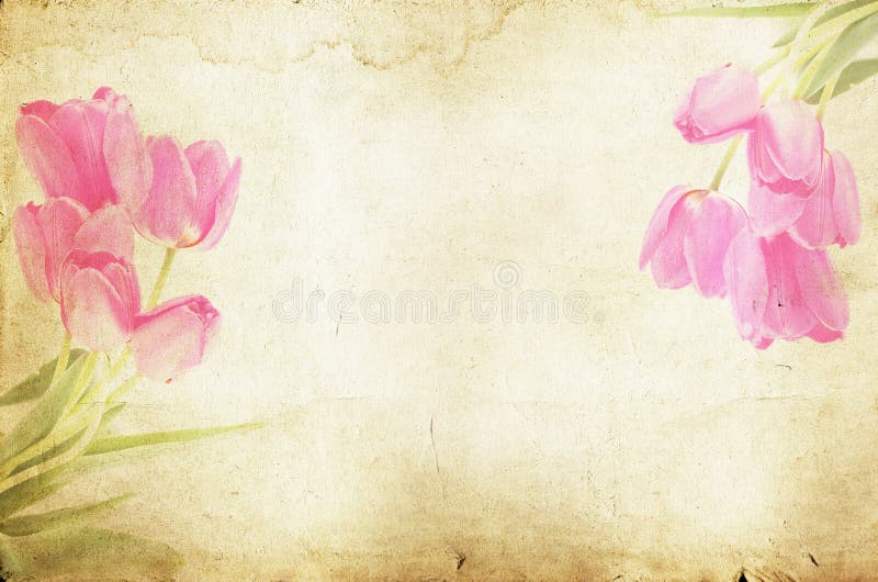 Pink tulips on vintage background