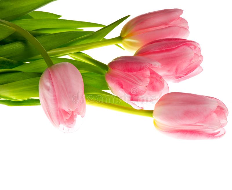 Beautiful Bouquet of Colorful Spring Flowers Stock Image - Image of ...