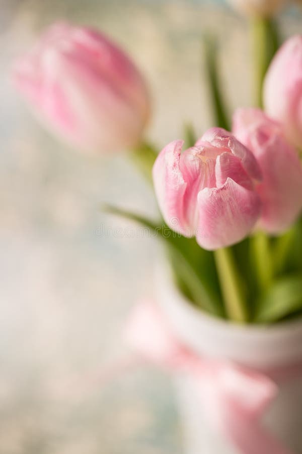 Pink Tulips in White Vase from Above Stock Photo Image of mood