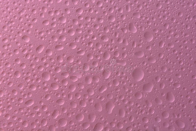 Pink water drops background selected focus royalty free stock images Pink water drops background selected focus royalty free stock images