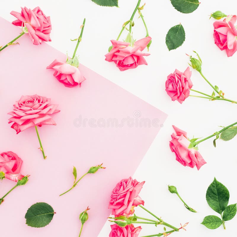 Pink and white background with frame of pink roses flowers. Flat lay. Top view