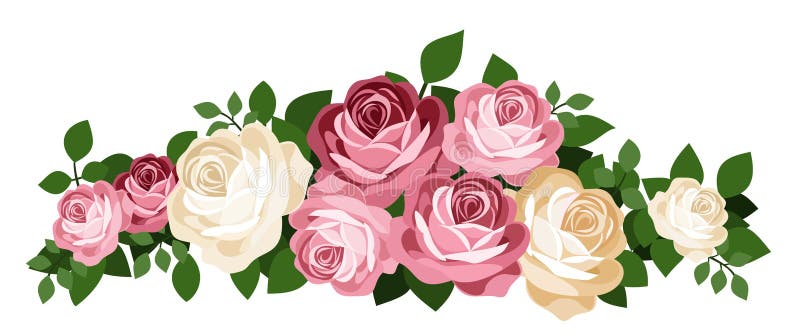 Rosas rosadas y blancas.  Ilustración vectorial.  Foto de archivo - Ilustración de floral, verde: 26976342