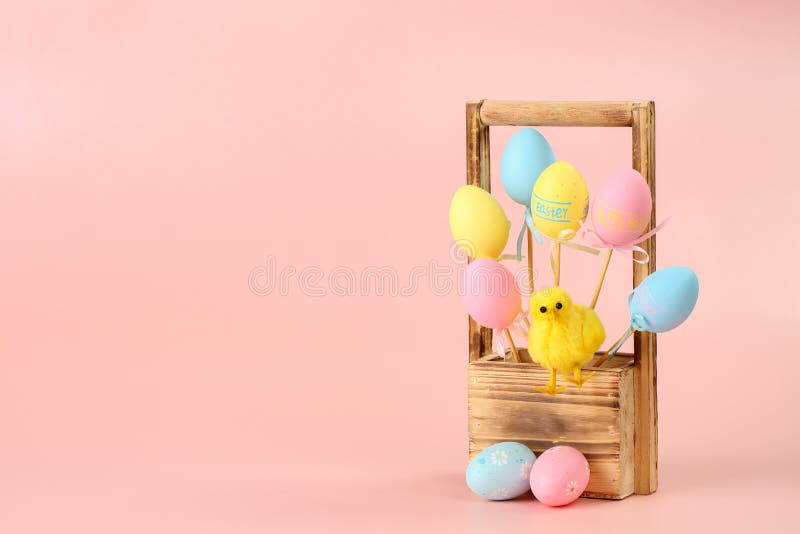 Pink, yellow and blue painted eggs on sticks and a cute chicken in a wooden basket for flowers on a pink background. Easter stock images Pink, yellow and blue painted eggs on sticks and a cute chicken in a wooden basket for flowers on a pink background. Easter stock images