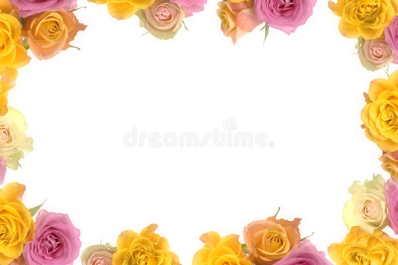 Roses On A Pale Yellow And Pink Pastel Background Stock Photo, Picture and  Royalty Free Image. Image 106641539.