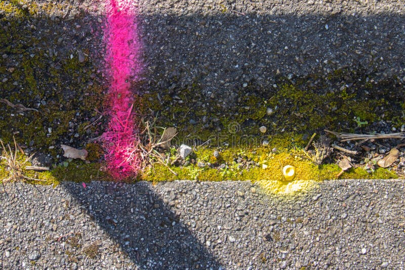 Pink and Yellow Spray Paint Marking on the Pavement Stock Image Image