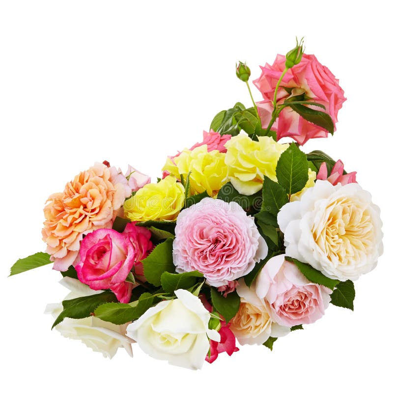 Pink,yellow,white Roses Bouquet on a White Background Isolated Stock