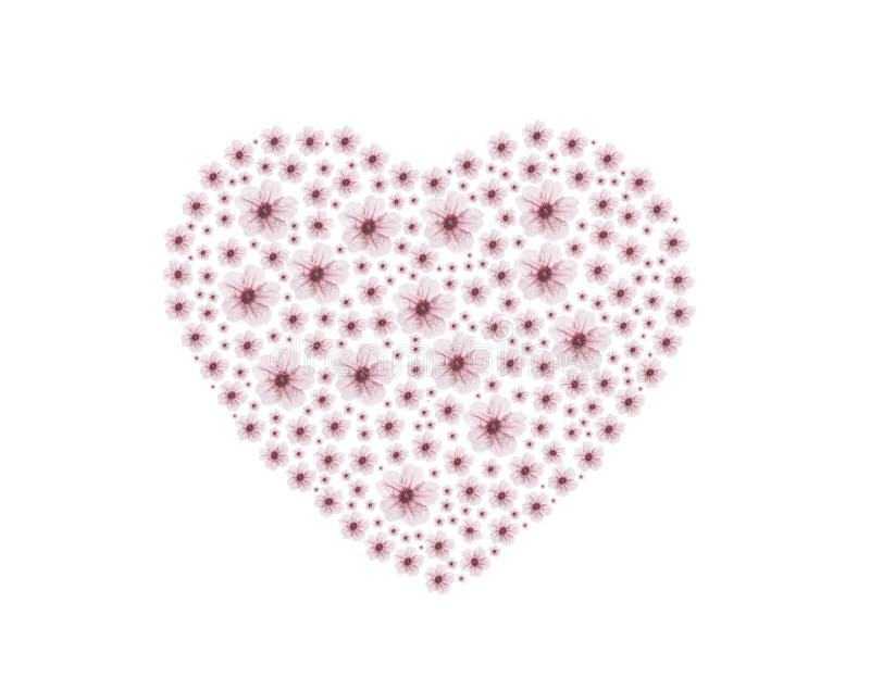 Pinky heart flower stock image. Image of light, obsolete 30562437