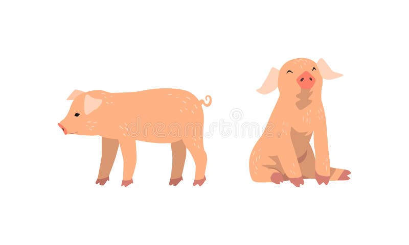 Pinky Pig as Domestic Animal with Long Snout and Hoofed Toes Vector Set