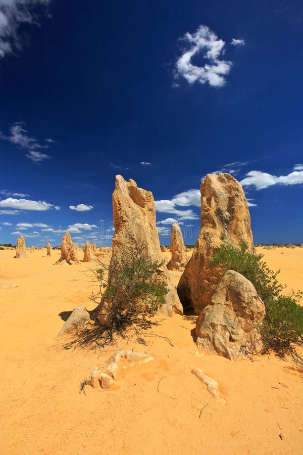 Pinnacles Desert,Western Australia stock photos