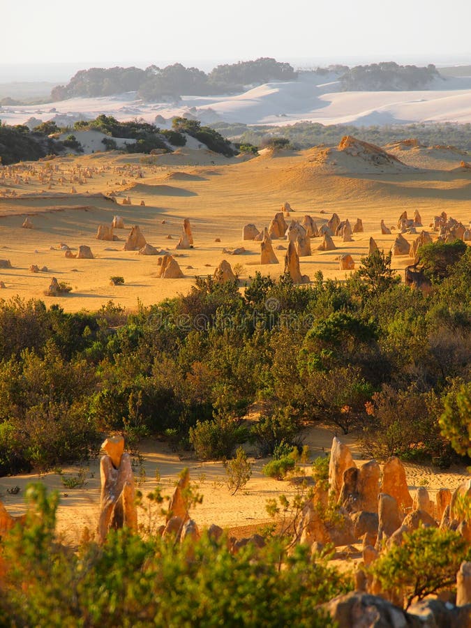 Pinnacles & white sand