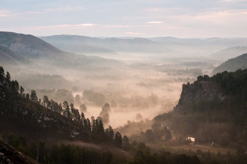 Pinos cubiertos en nieblas en los rayos del amanecer fotografía de archivo Pinos cubiertos en nieblas en los rayos del amanecer fotografía de archivo