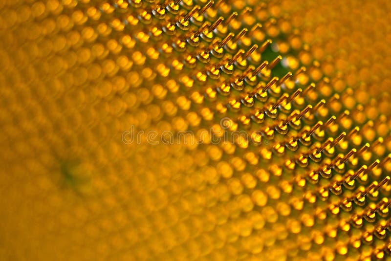 Pins of central processor unit. CPU close-up. Bottom side royalty free stock photo