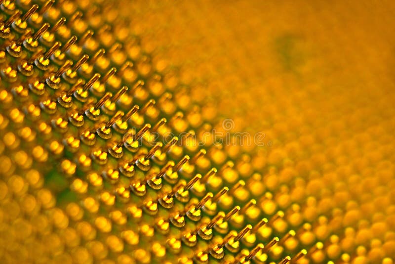 Pins of central processor unit. CPU close-up. Bottom side stock photo