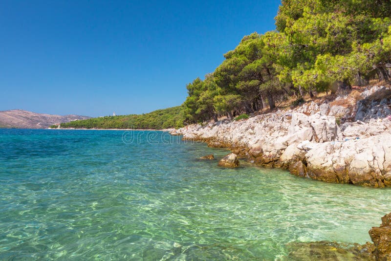 Pins sur la côte de Mer Adriatique près de Trogir, Croatie photo stock Pins sur la côte de Mer Adriatique près de Trogir, Croatie photo stock