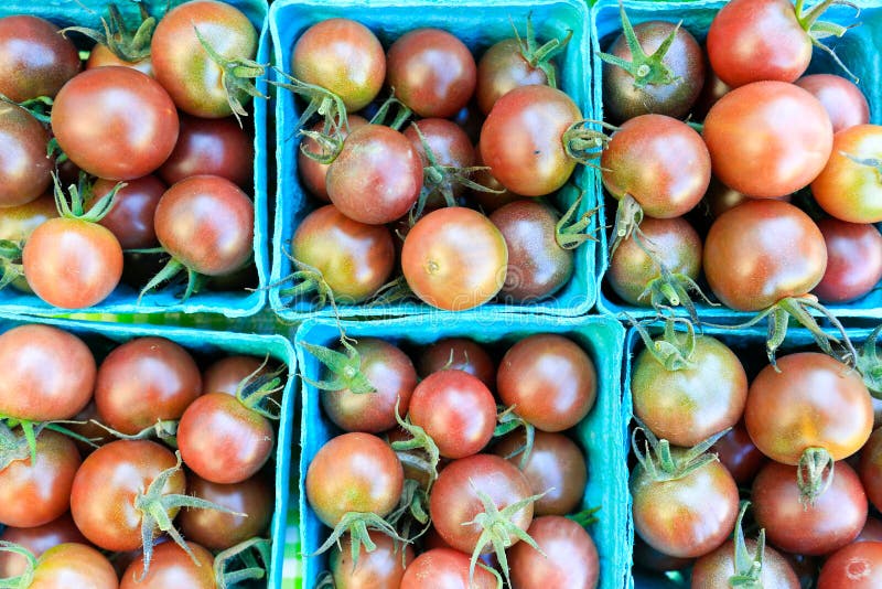 Organic black cherry tomatoes at a Farmer`s Market