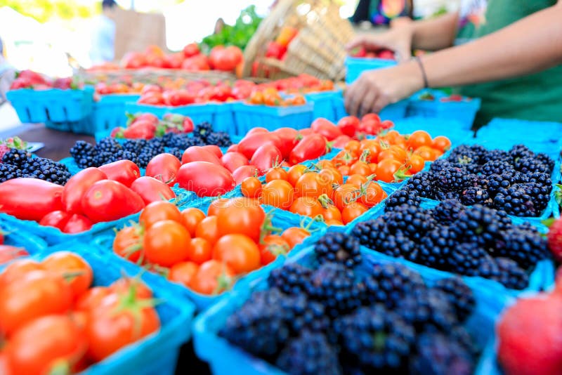 Organic red tomatoes at a Farmer`s Market