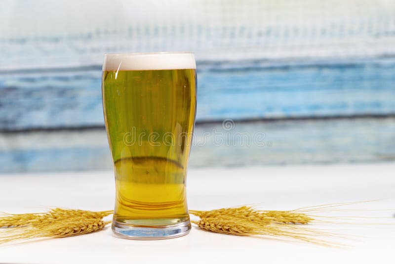 Pint of beer with dried ears flowers of wheat