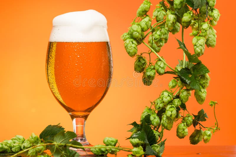 Pint van bier met ingrediënten voor eigengemaakt bier op sinaasappel royalty-vrije stock fotografie Pint van bier met ingrediënten voor eigengemaakt bier op sinaasappel royalty-vrije stock fotografie
