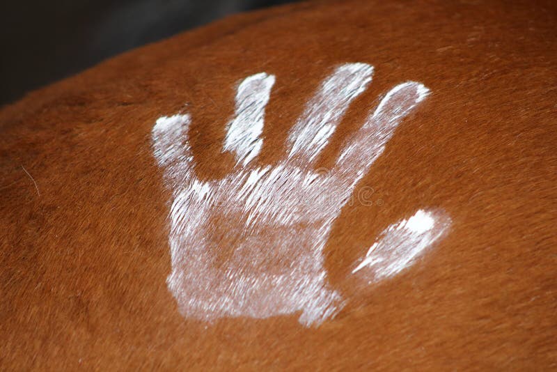 Pintado a mano en blanco en la grupa de un caballo tenga gusto de los indios