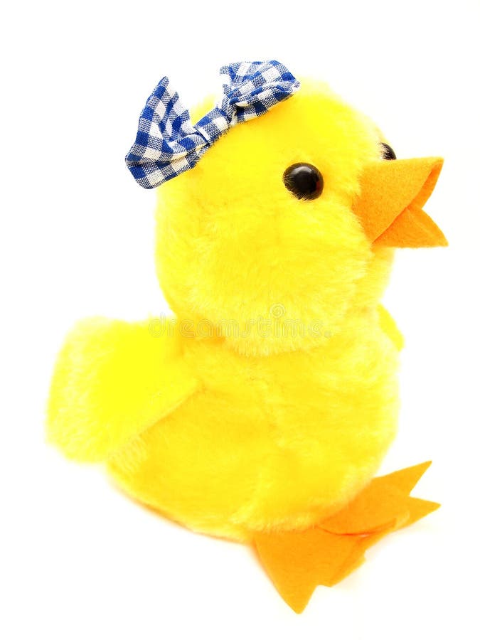 Pintainho de Easter imagens de stock Pintainho de Easter imagens de stock