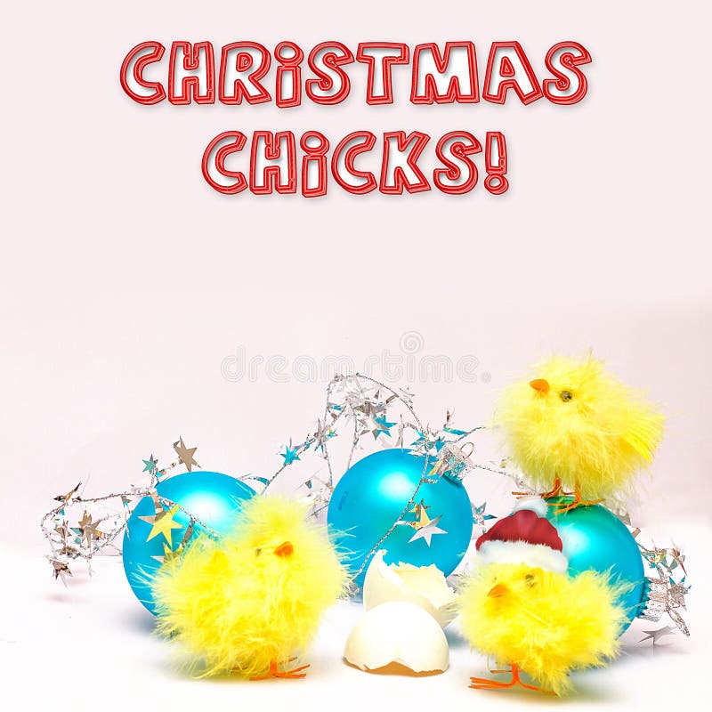 Pintainhos do Natal - três pintainhos do bebê - decorações foto de stock Pintainhos do Natal - três pintainhos do bebê - decorações foto de stock