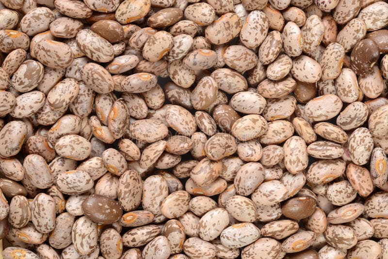Closeup of Pinto bean background