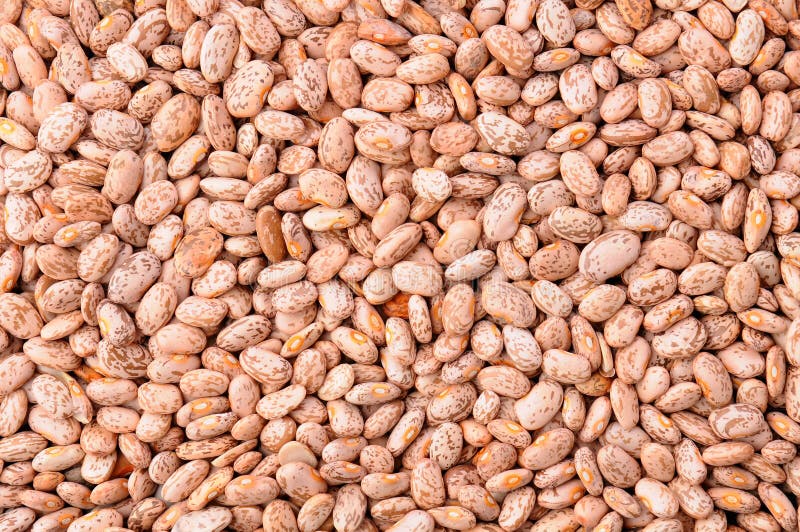 Closeup of a mass of pinto beans, fills the frame. Closeup of a mass of pinto beans, fills the frame.