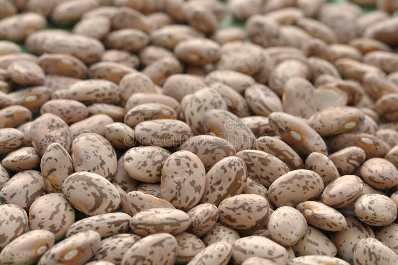 Closeup of pile of raw pinto beans