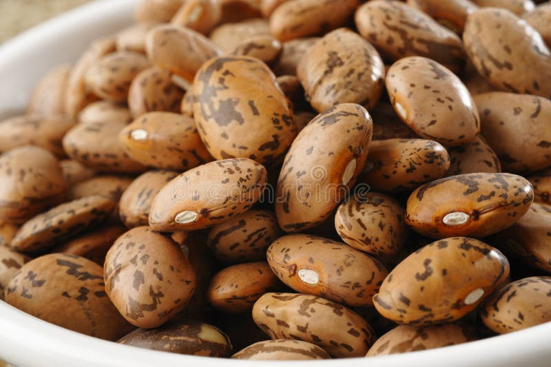 Pinto Beans photo libre de droits Pinto Beans photo libre de droits
