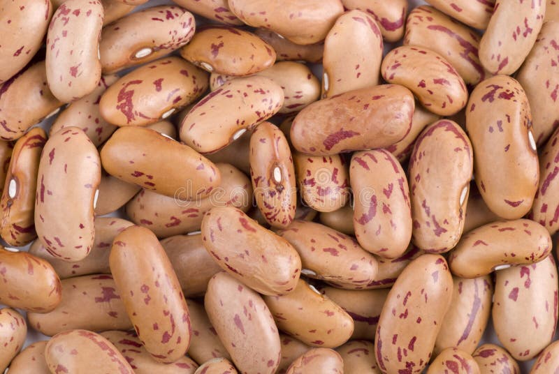 Pinto beans full frame background close up.