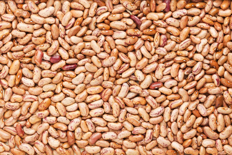 Background of dried pinto beans. Background of dried pinto beans