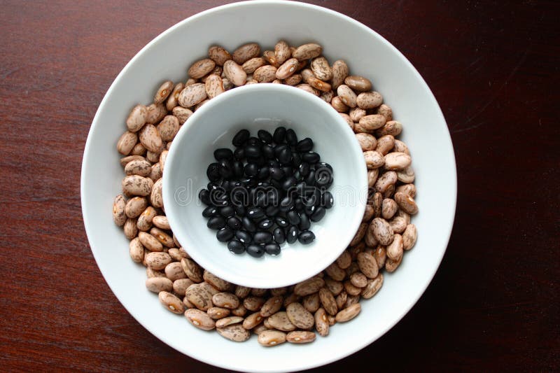 Pinto Beans and Black Beans Stock Photo Image of bean, grain 40523394