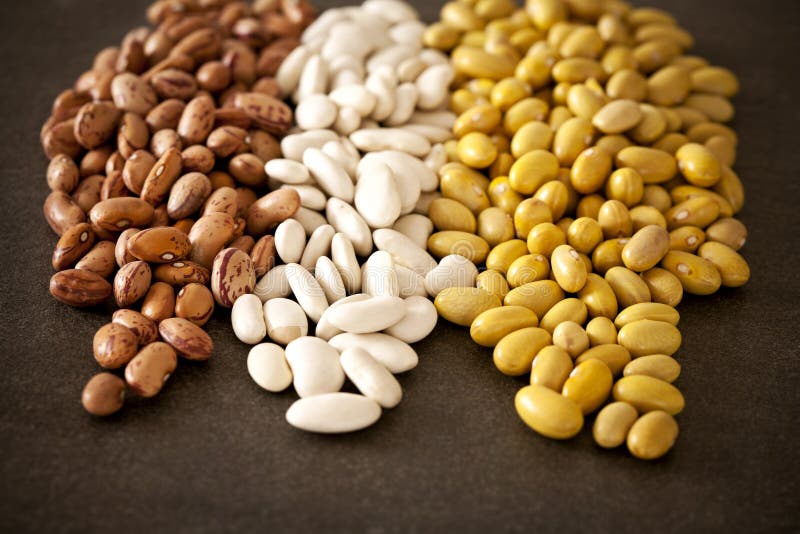 Pinto beans stock photo. Image of green, haricot, beans 49464252